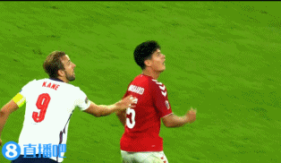 丹麦 VS 英格兰 图集