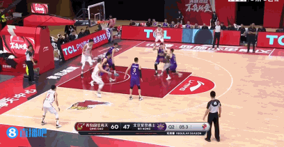 青岛 VS 北控 图集