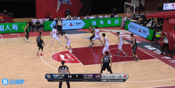 新疆 VS 辽宁 图集