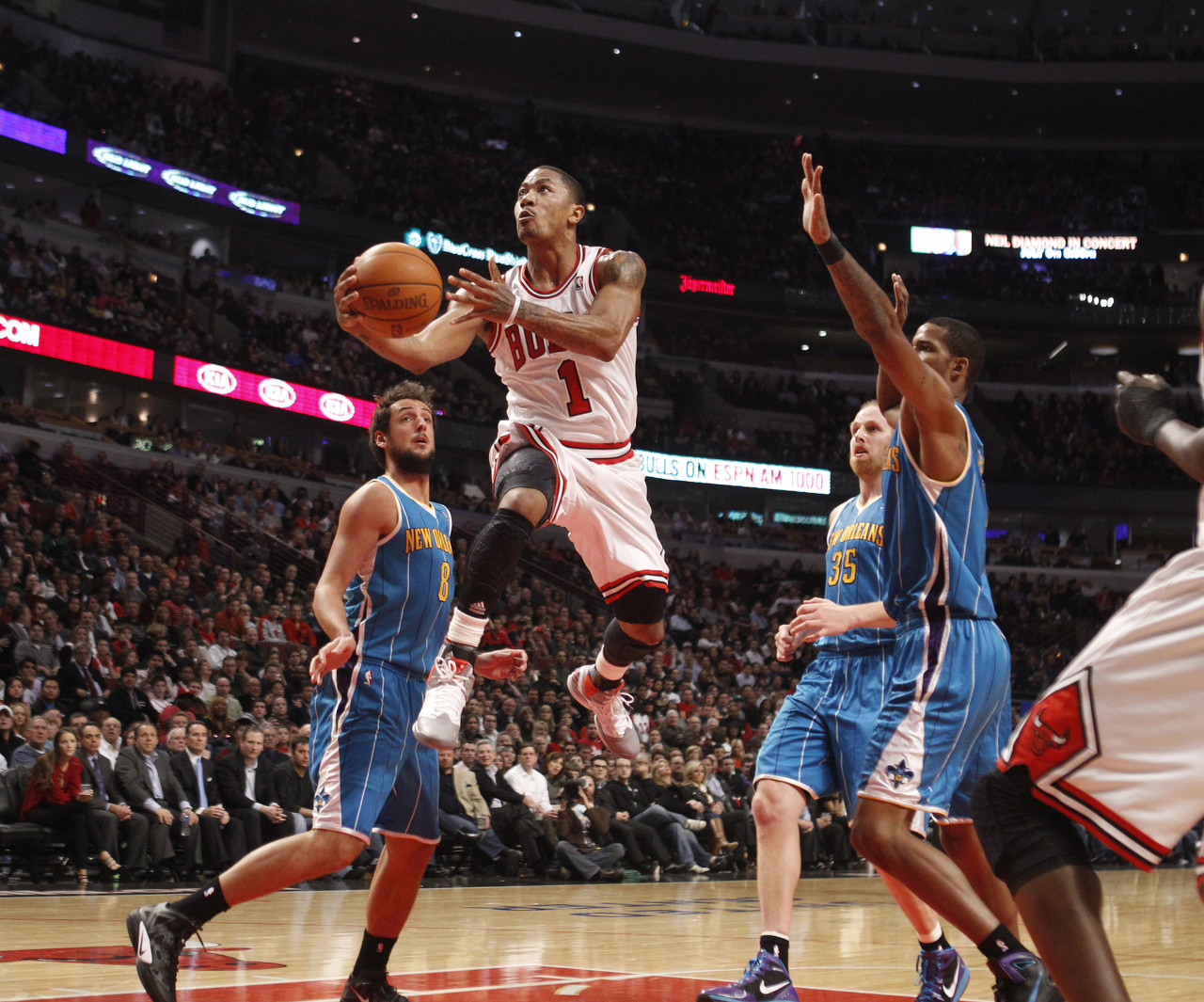 今日图集：花有重开日！罗斯生日快乐