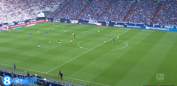 沙尔克0:0多特蒙德 图集