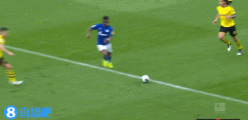 沙尔克0:0多特蒙德 图集