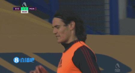 埃弗顿1:3曼联 图集